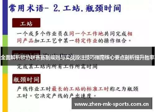 全面解析欧协联赛赛制规则与实战投注技巧指南核心要点剖析提升胜率
