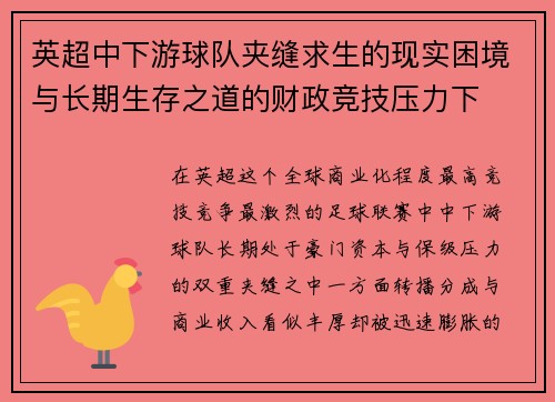 英超中下游球队夹缝求生的现实困境与长期生存之道的财政竞技压力下